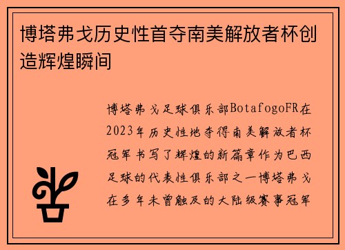 博塔弗戈历史性首夺南美解放者杯创造辉煌瞬间 博塔弗戈历史性首夺南美解放者杯创造辉煌瞬间