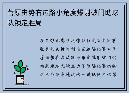 菅原由势右边路小角度爆射破门助球队锁定胜局 菅原由势右边路小角度爆射破门助球队锁定胜局